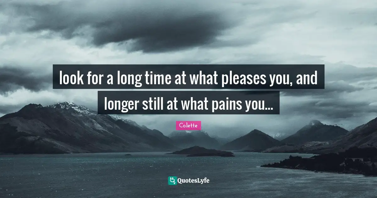 look for a long time at what pleases you, and longer still at what pains you...