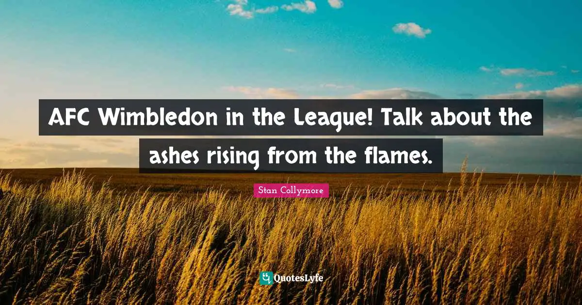 AFC Wimbledon in the League! Talk about the ashes rising from the flames.