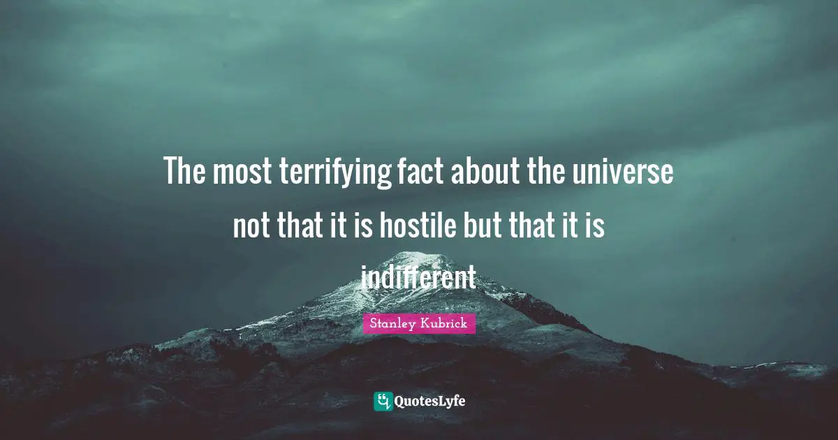 The most terrifying fact about the universe not that it is hostile but that it is indifferent