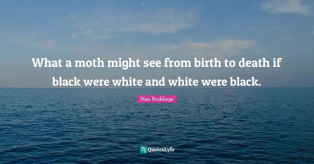 What a moth might see from birth to death if black were white and white were black.