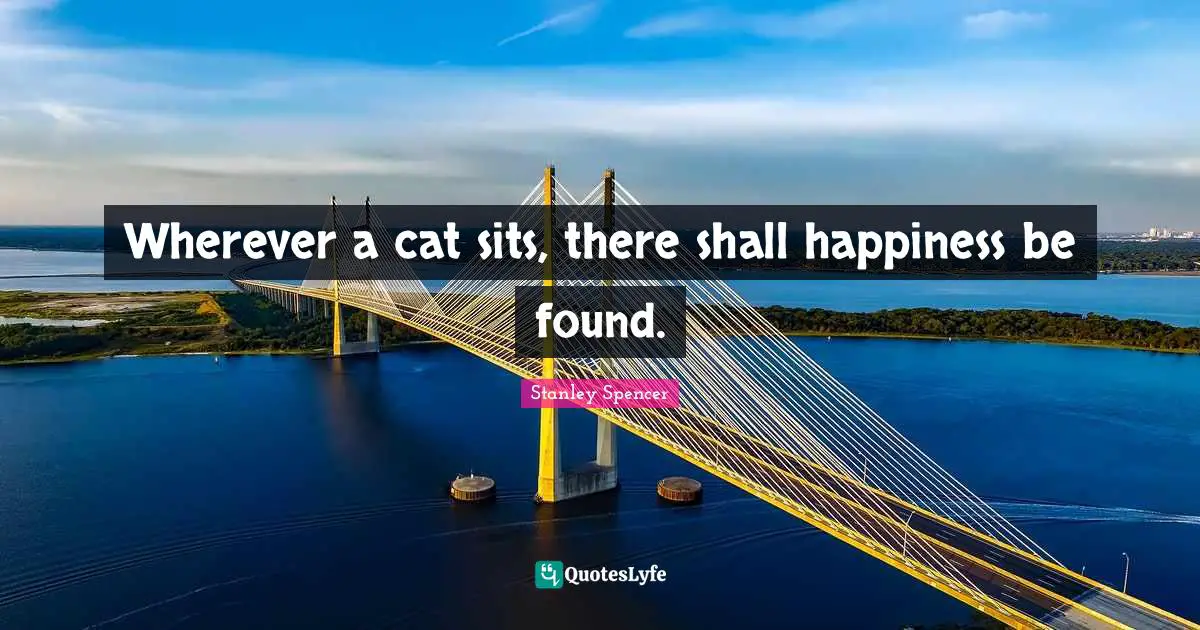 Wherever a cat sits, there shall happiness be found.