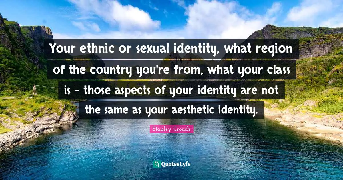 Your ethnic or sexual identity, what region of the country you're from, what your class is - those aspects of your identity are not the same as your aesthetic identity.