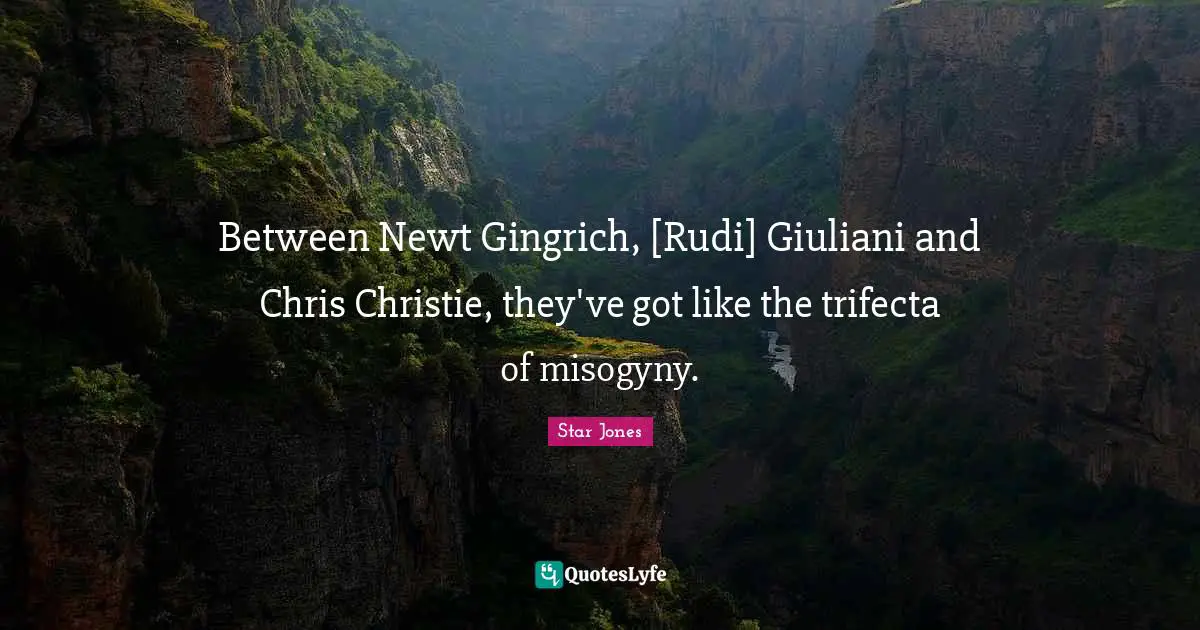 Between Newt Gingrich, [Rudi] Giuliani and Chris Christie, they've got like the trifecta of misogyny.