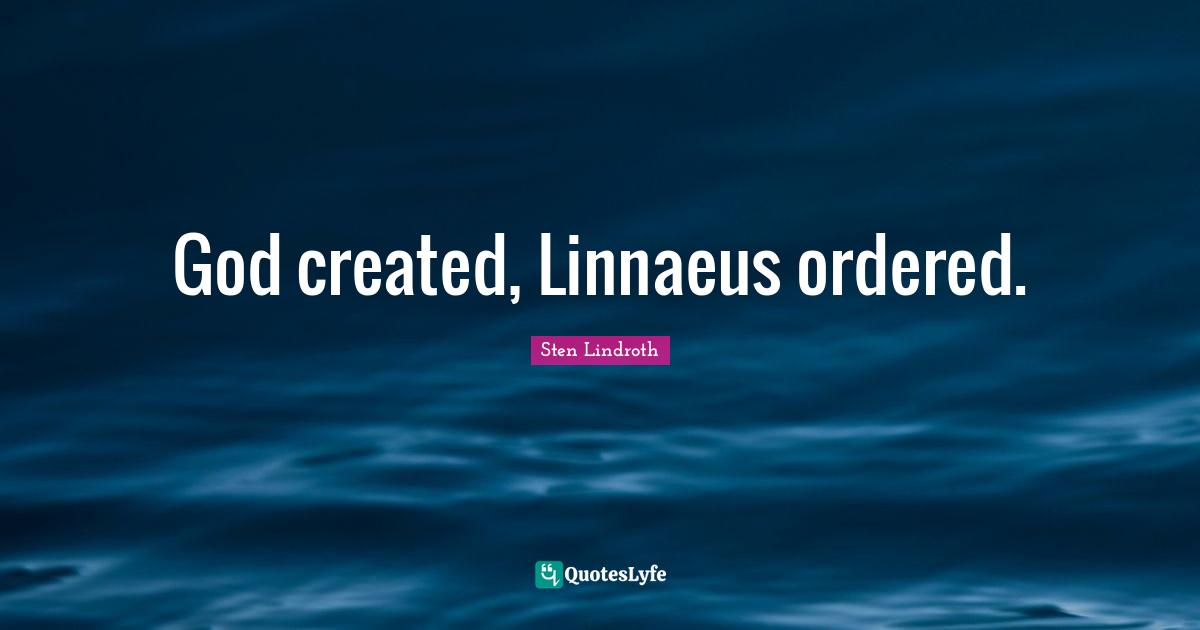 God created, Linnaeus ordered.