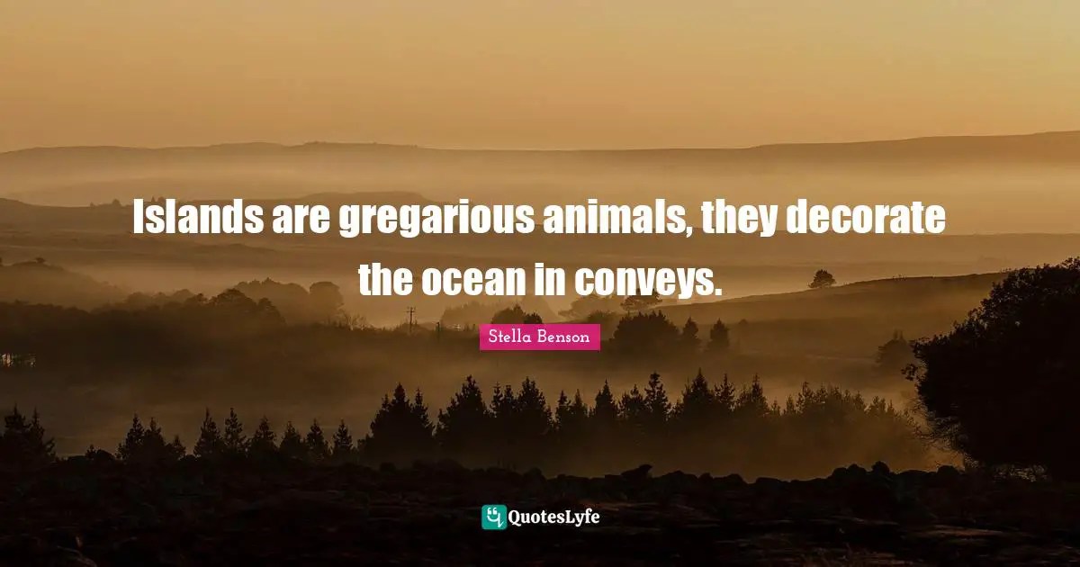 Stella Benson Quotes: "Islands are gregarious animals, they decorate the ocean in conveys."
