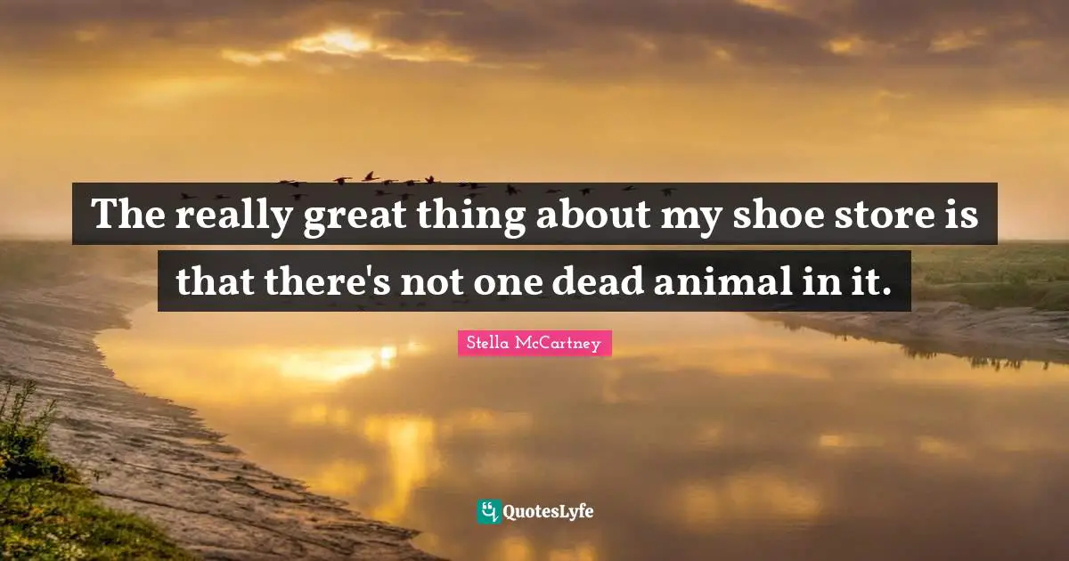 Stella McCartney Quotes: "The really great thing about my shoe store is that there's not one dead animal in it."
