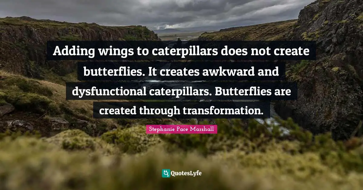 Awkward Quotes: "Adding wings to caterpillars does not create butterflies. It creates awkward and dysfunctional caterpillars. Butterflies are created through transformation."