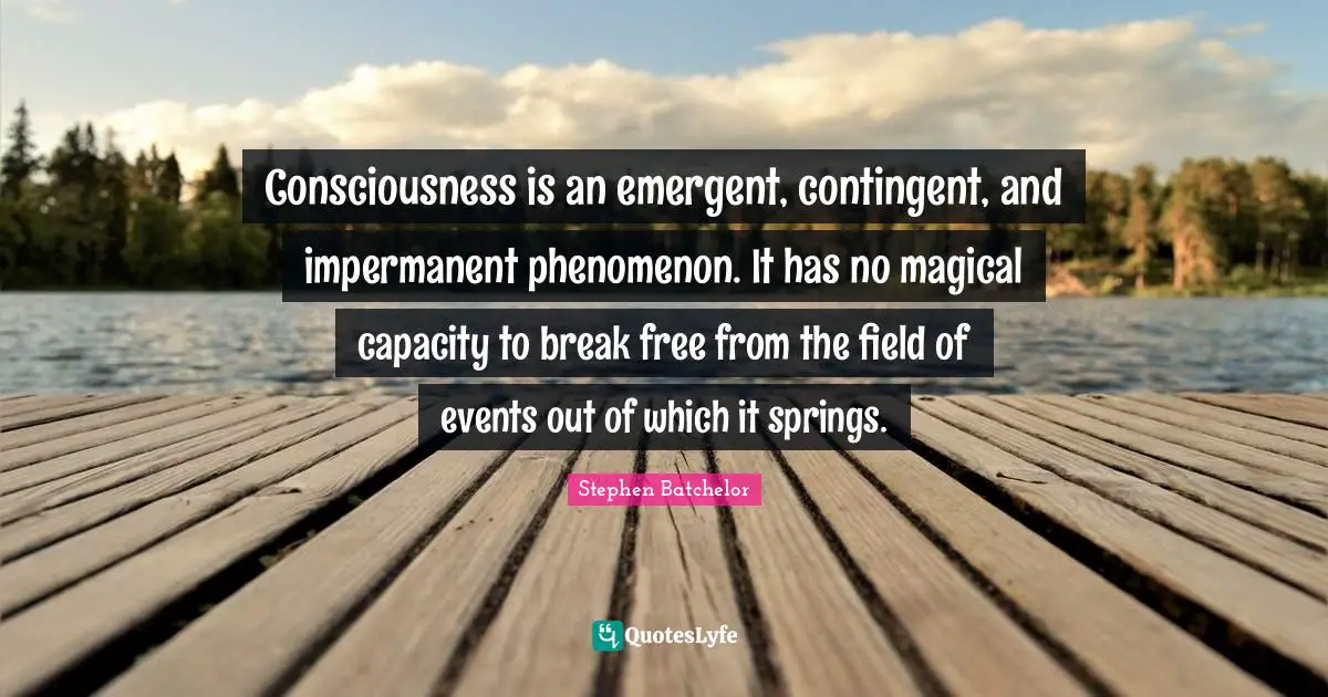 Consciousness is an emergent, contingent, and impermanent phenomenon. It has no magical capacity to break free from the field of events out of which it springs.