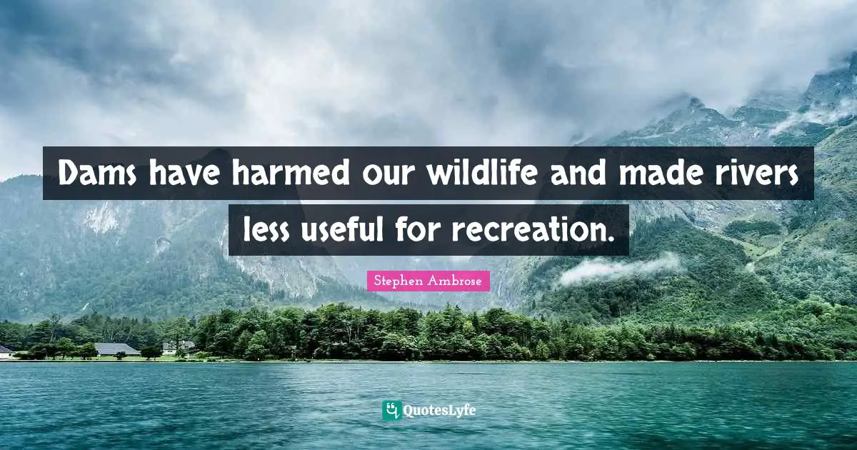 Dams Quotes: "Dams have harmed our wildlife and made rivers less useful for recreation."