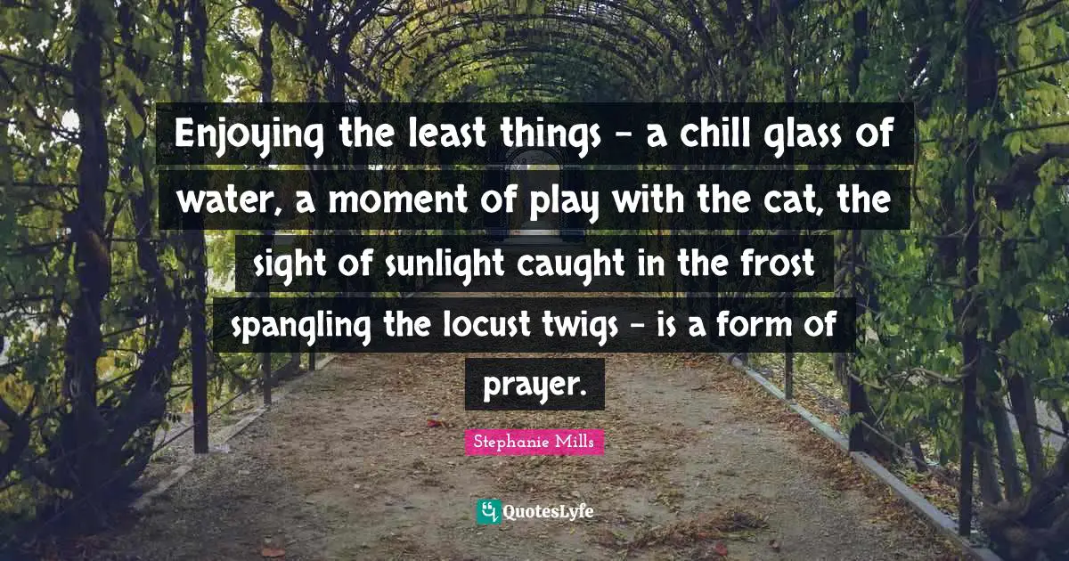 Enjoying the least things - a chill glass of water, a moment of play with the cat, the sight of sunlight caught in the frost spangling the locust twigs - is a form of prayer.