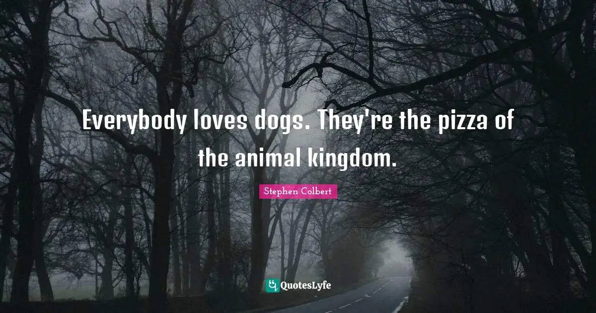 Everybody loves dogs. They're the pizza of the animal kingdom.