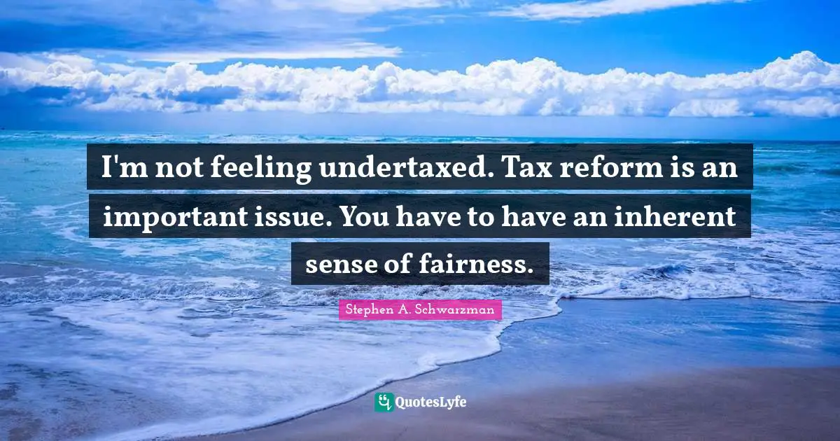 I'm not feeling undertaxed. Tax reform is an important issue. You have to have an inherent sense of fairness.