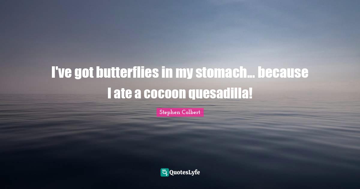 I've got butterflies in my stomach... because I ate a cocoon quesadilla!