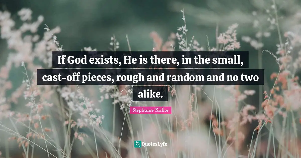 If God exists, He is there, in the small, cast-off pieces, rough and random and no two alike.