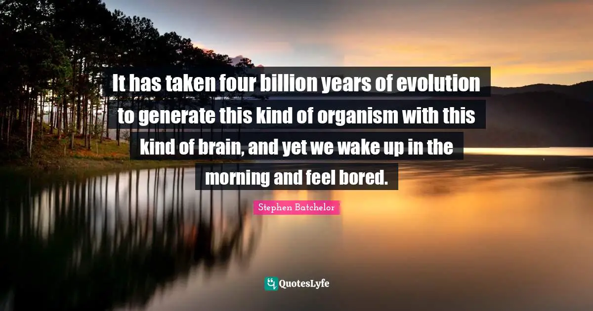 It has taken four billion years of evolution to generate this kind of organism with this kind of brain, and yet we wake up in the morning and feel bored.
