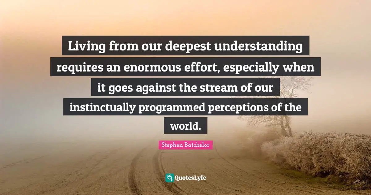 Living from our deepest understanding requires an enormous effort, especially when it goes against the stream of our instinctually programmed perceptions of the world.