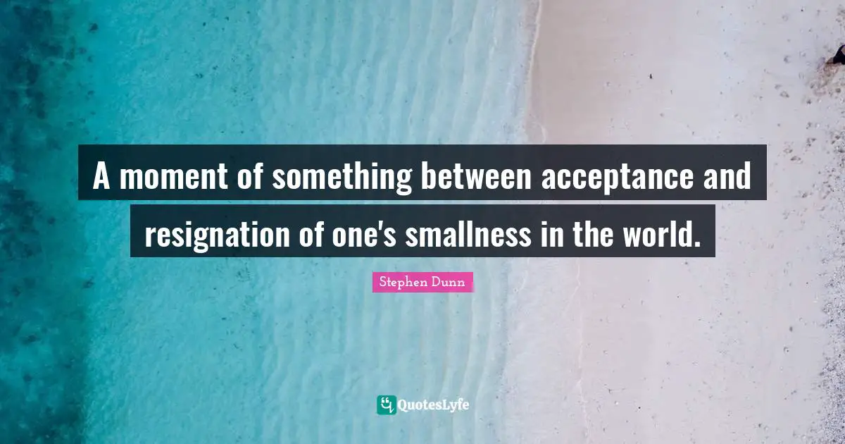 A moment of something between acceptance and resignation of one's smallness in the world.