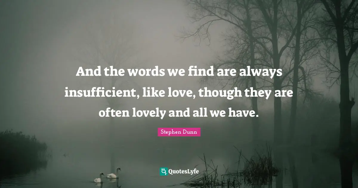 And the words we find are always insufficient, like love, though they are often lovely and all we have.