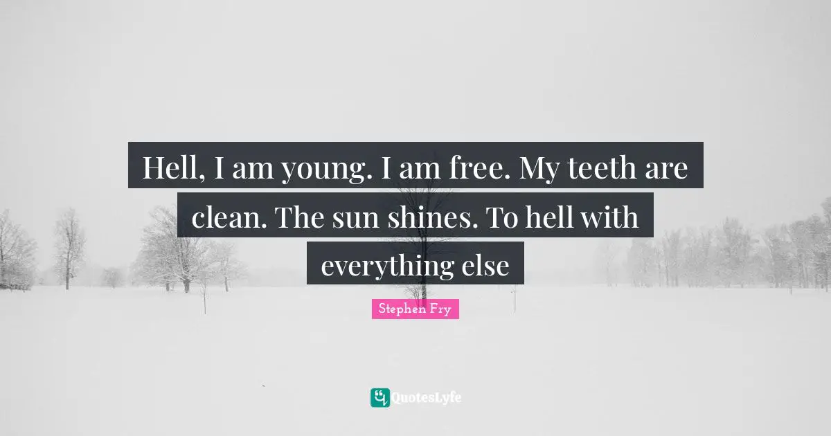 Stephen Fry Quotes: "Hell, I am young. I am free. My teeth are clean. The sun shines. To hell with everything else"