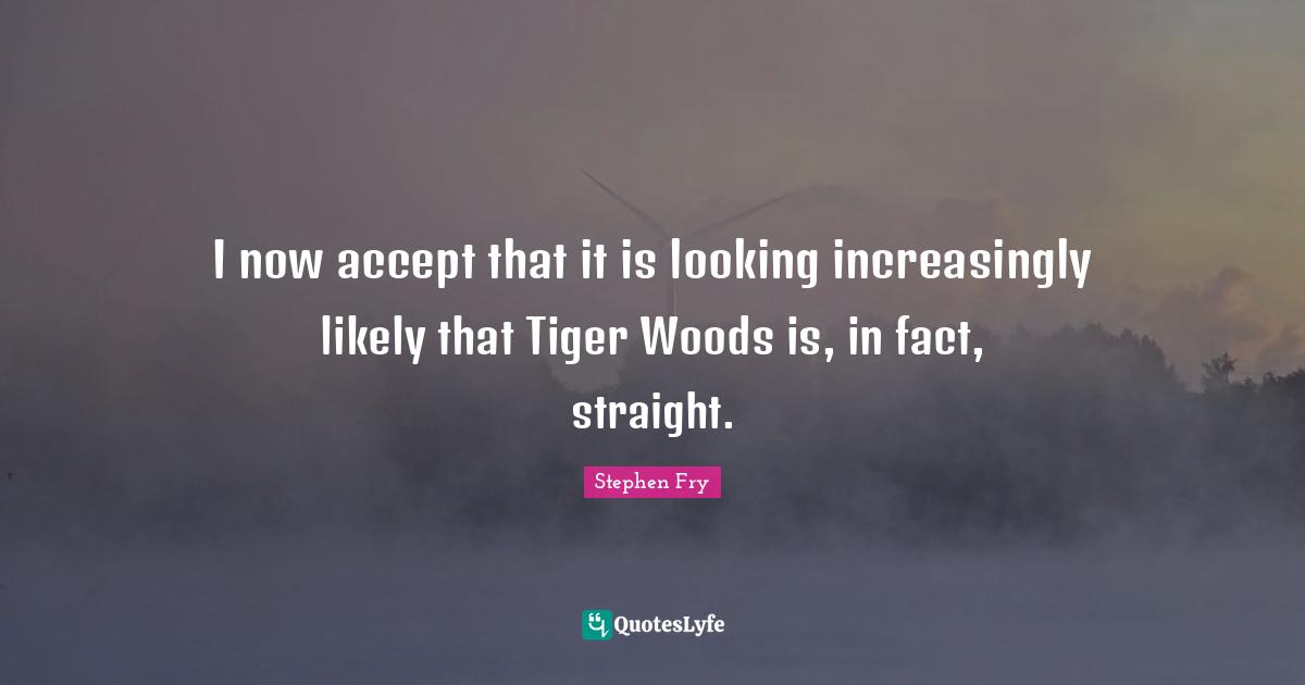 I now accept that it is looking increasingly likely that Tiger Woods is, in fact, straight.