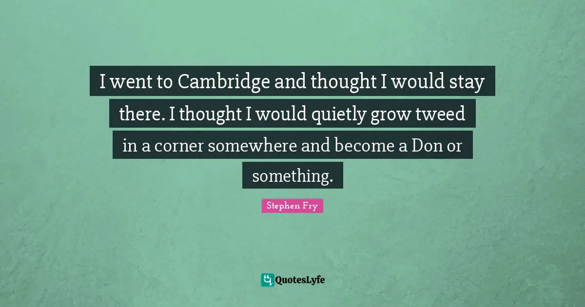 I went to Cambridge and thought I would stay there. I thought I would quietly grow tweed in a corner somewhere and become a Don or something.