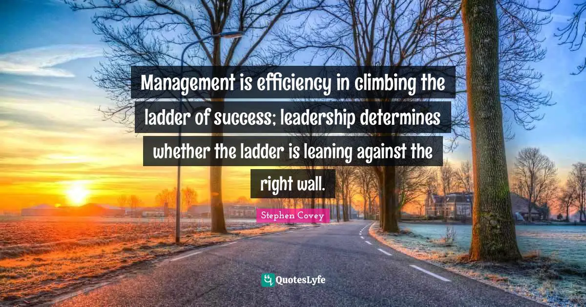 Efficiency Quotes: "Management is efficiency in climbing the ladder of success; leadership determines whether the ladder is leaning against the right wall."