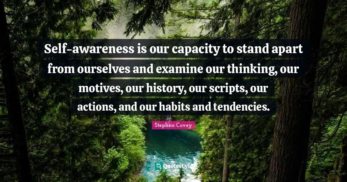 Self-awareness is our capacity to stand apart from ourselves and examine our thinking, our motives, our history, our scripts, our actions, and our habits and tendencies.