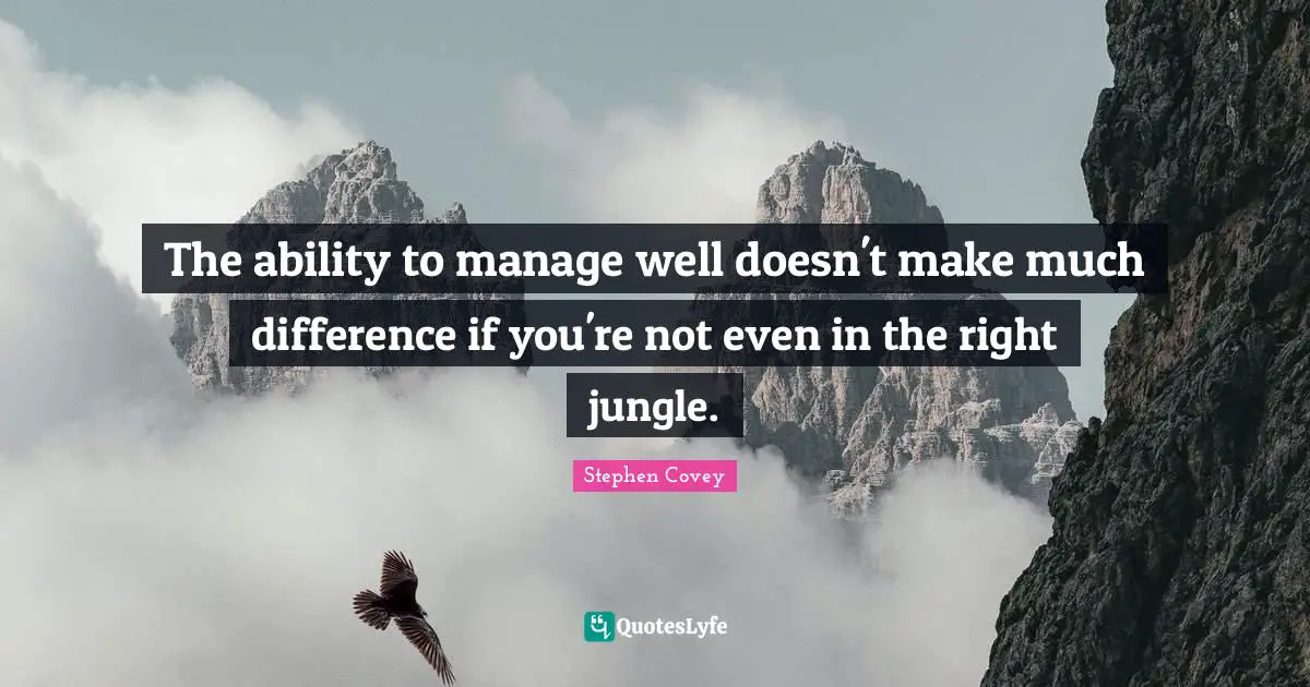 The ability to manage well doesn't make much difference if you're not even in the right jungle.