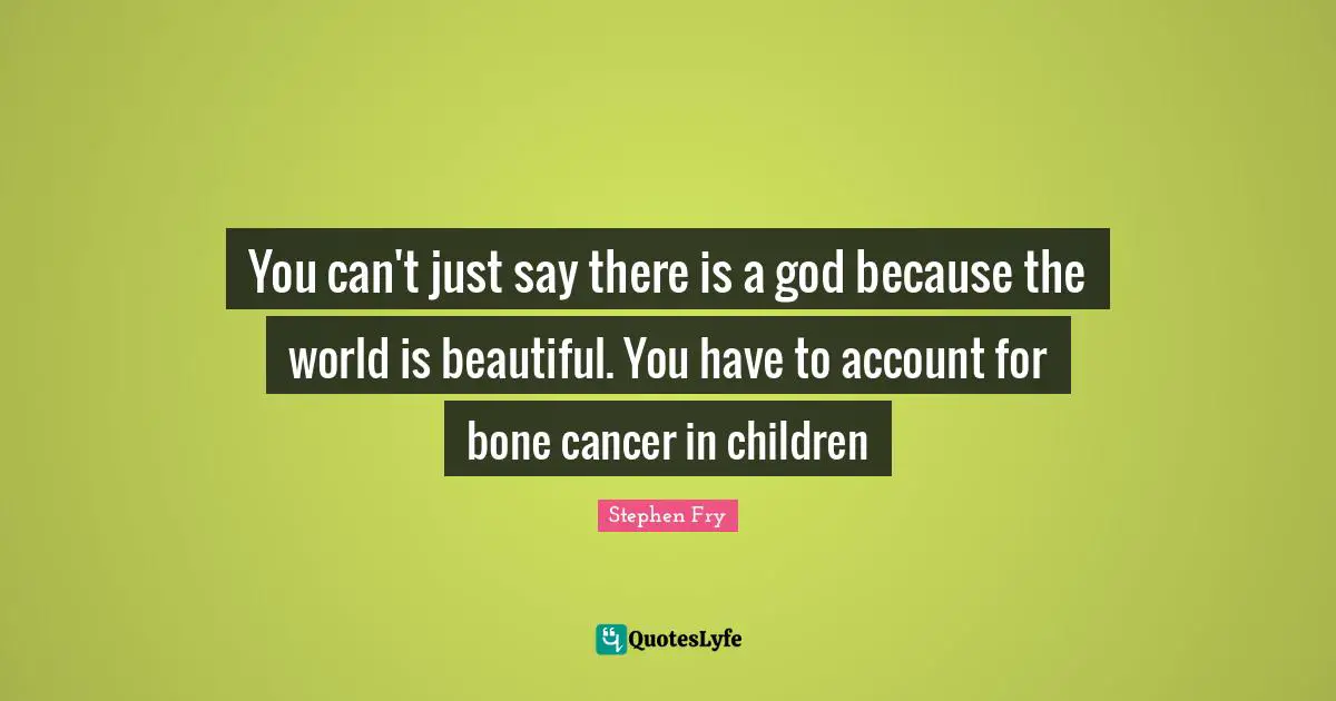 You can't just say there is a god because the world is beautiful. You have to account for bone cancer in children