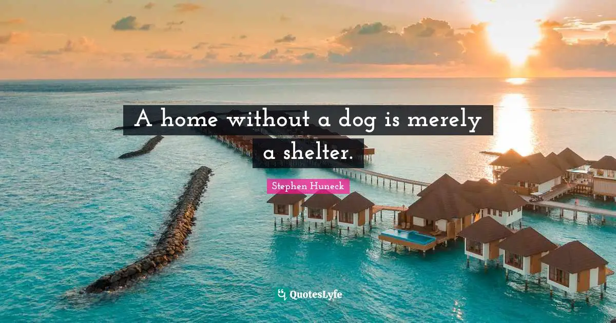 A home without a dog is merely a shelter.