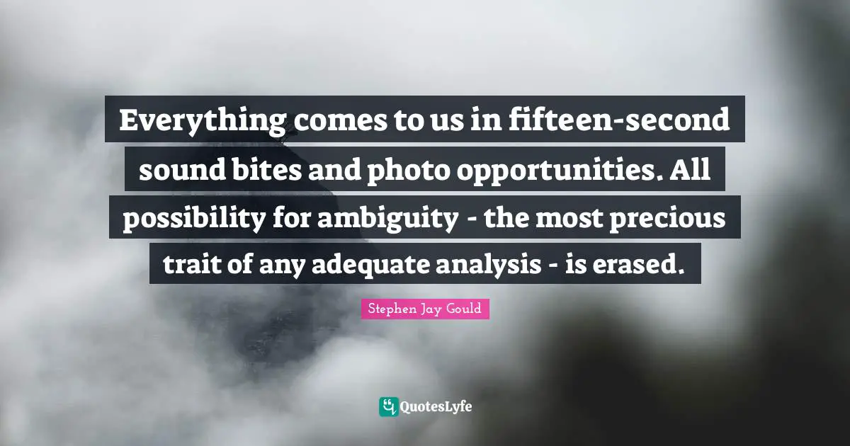 Everything comes to us in fifteen-second sound bites and photo opportunities. All possibility for ambiguity - the most precious trait of any adequate analysis - is erased.