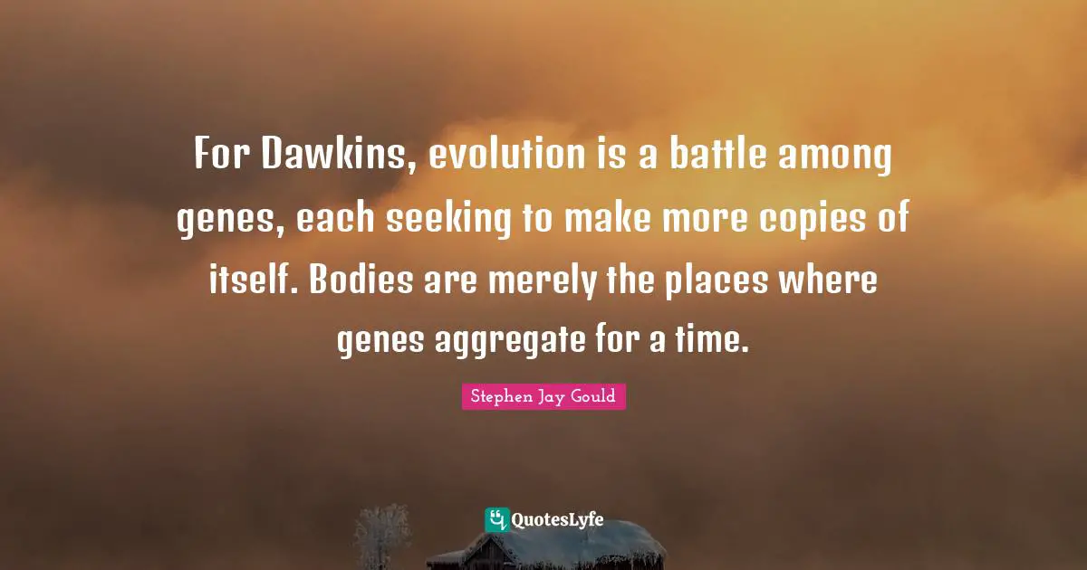 For Dawkins, evolution is a battle among genes, each seeking to make more copies of itself. Bodies are merely the places where genes aggregate for a time.