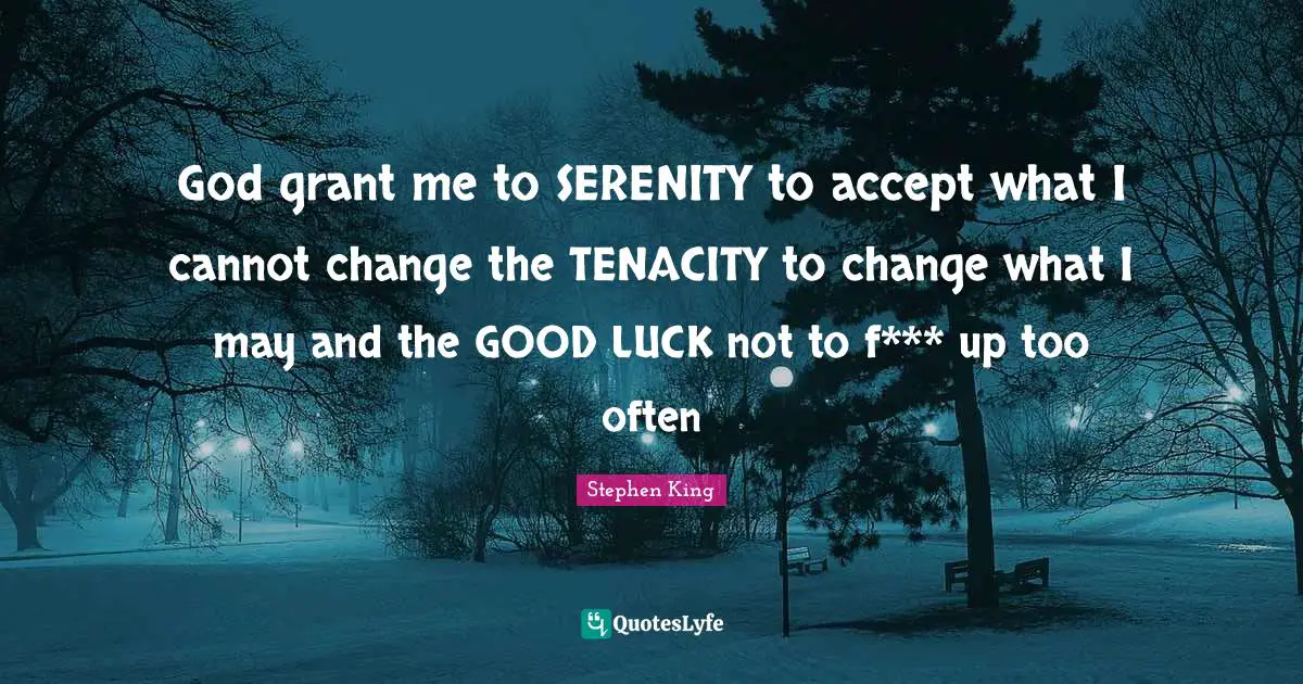 God grant me to SERENITY to accept what I cannot change the TENACITY to change what I may and the GOOD LUCK not to f*** up too often