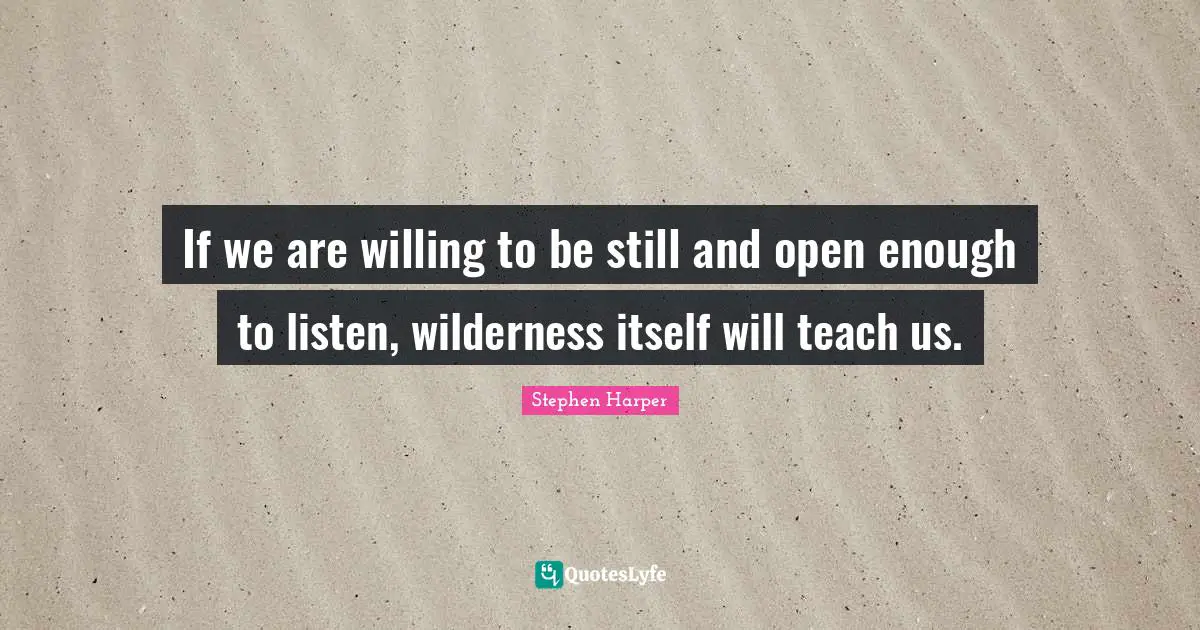 If we are willing to be still and open enough to listen, wilderness itself will teach us.