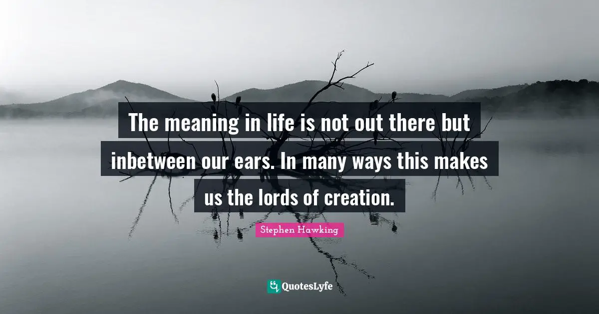 The meaning in life is not out there but inbetween our ears. In many ways this makes us the lords of creation.