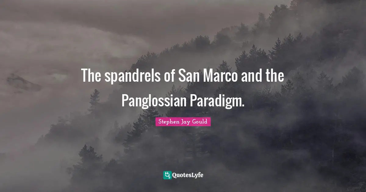 The spandrels of San Marco and the Panglossian Paradigm.