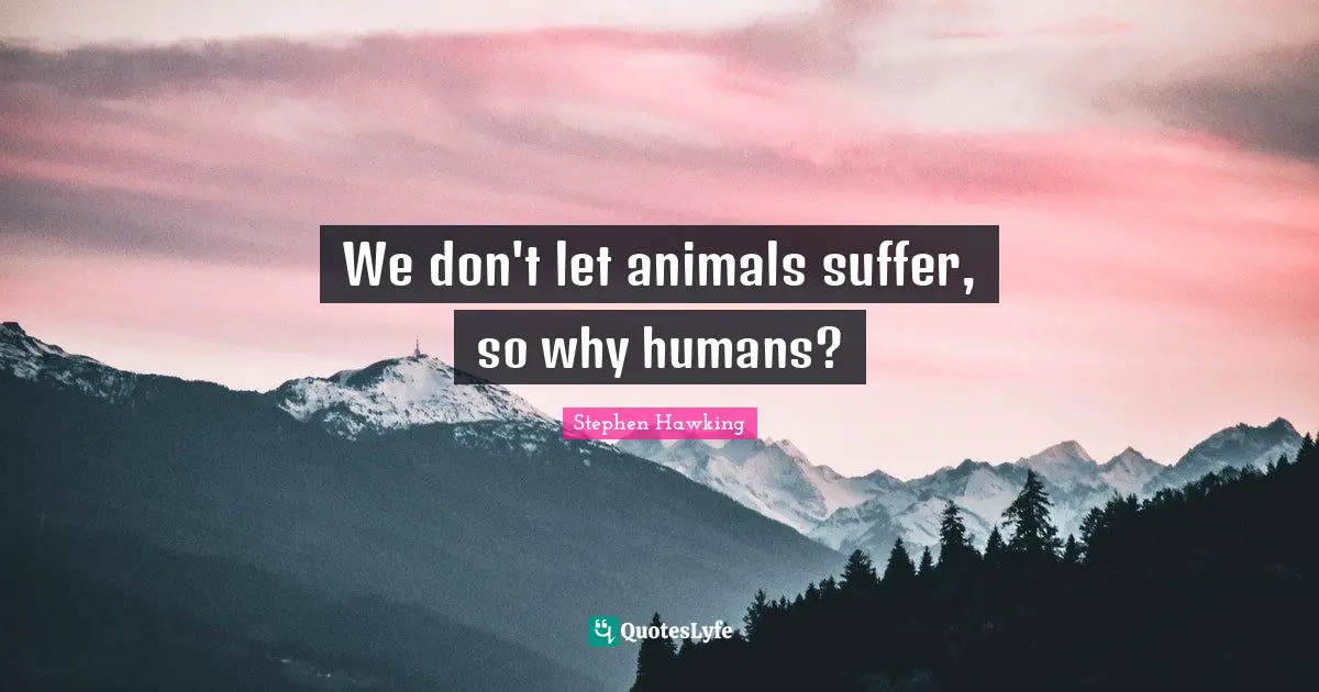 Stephen Hawking Quotes: "We don't let animals suffer, so why humans?"