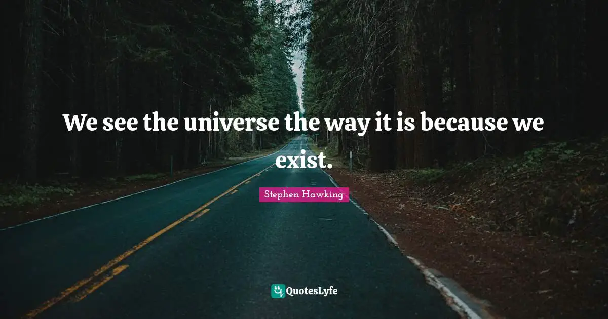 We see the universe the way it is because we exist.