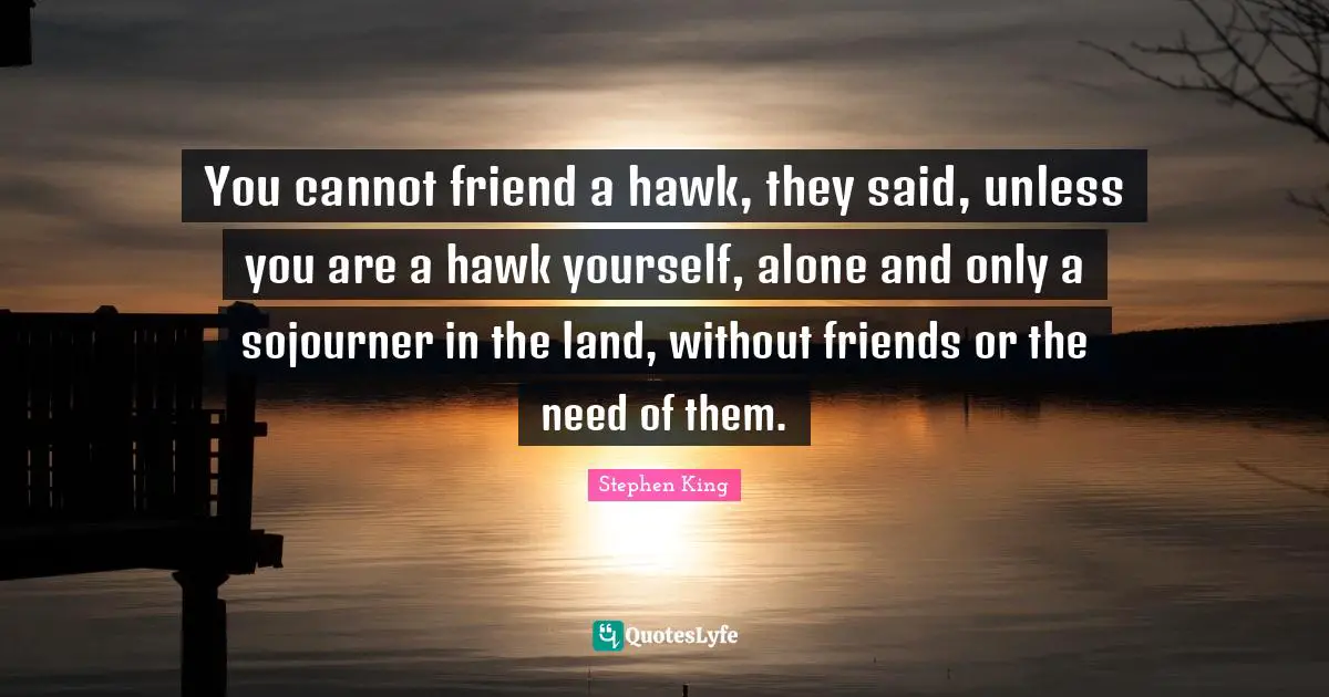 You cannot friend a hawk, they said, unless you are a hawk yourself, alone and only a sojourner in the land, without friends or the need of them.