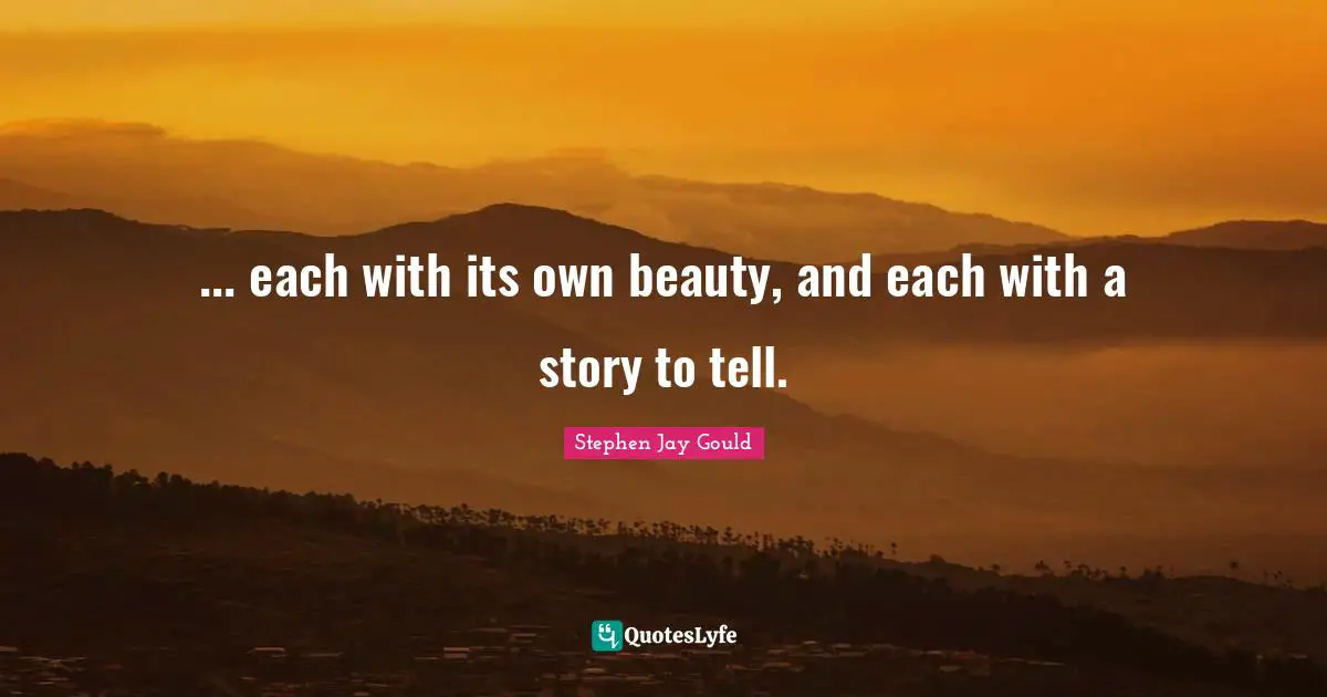 ... each with its own beauty, and each with a story to tell.