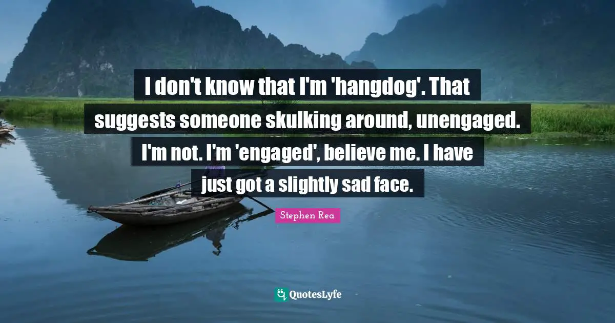 I don't know that I'm 'hangdog'. That suggests someone skulking around, unengaged. I'm not. I'm 'engaged', believe me. I have just got a slightly sad face.