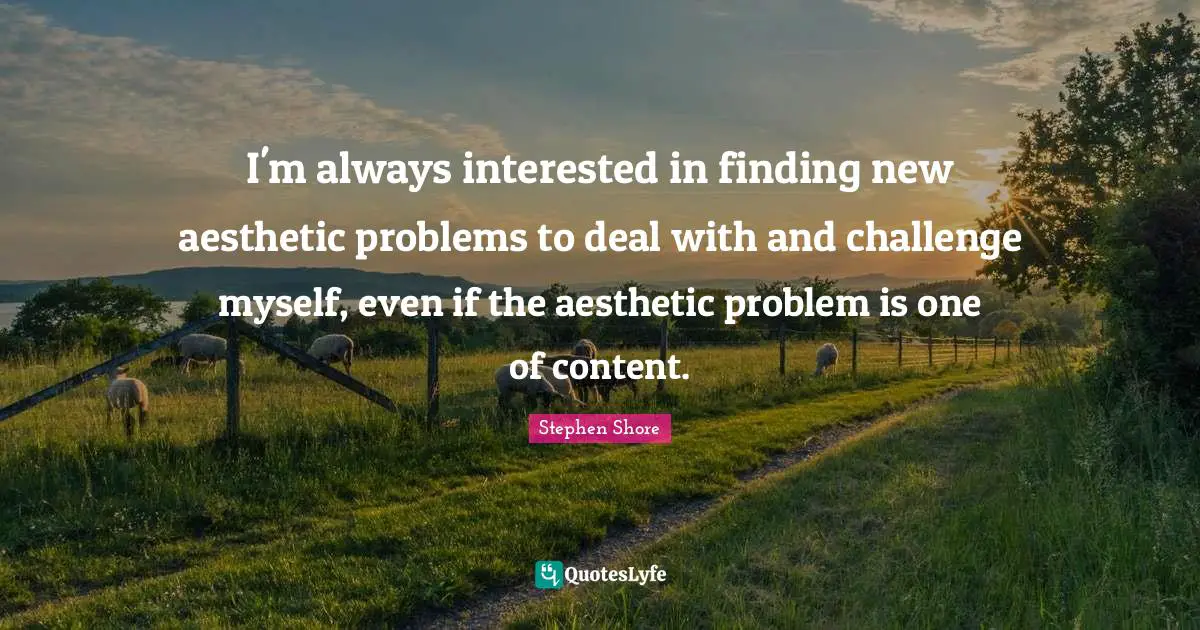 I'm always interested in finding new aesthetic problems to deal with and challenge myself, even if the aesthetic problem is one of content.