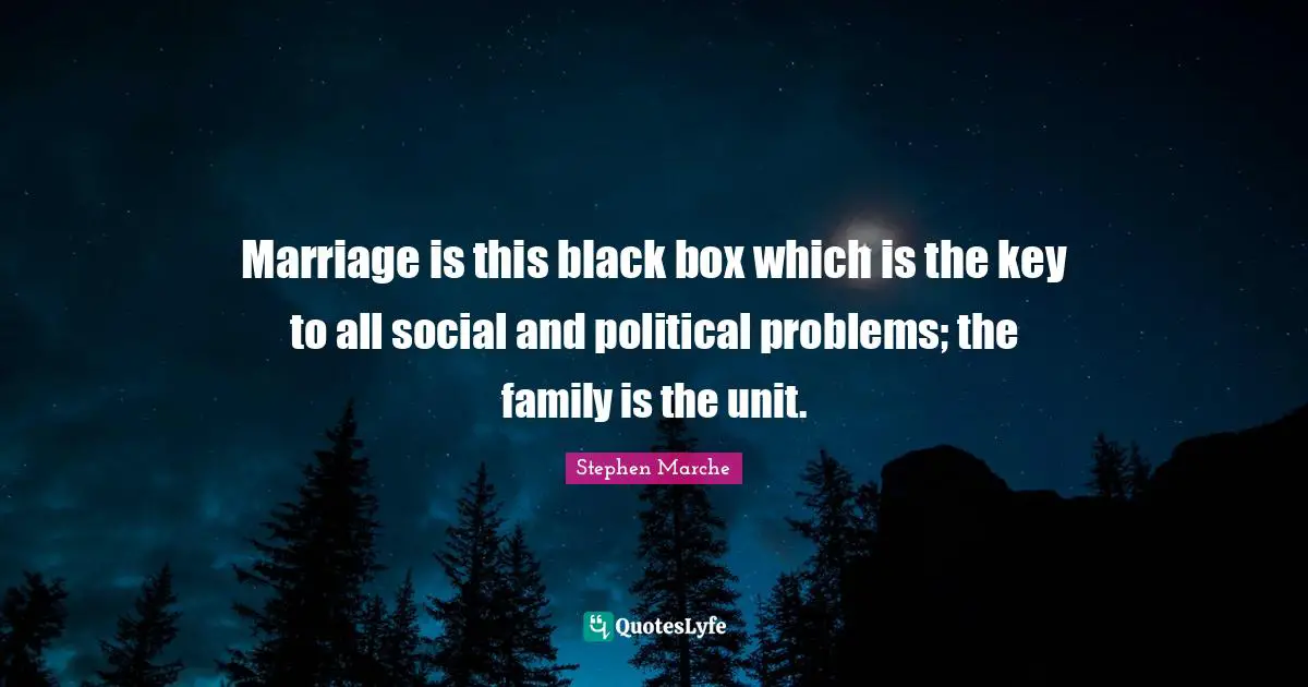 Stephen Marche Quotes: "Marriage is this black box which is the key to all social and political problems; the family is the unit."