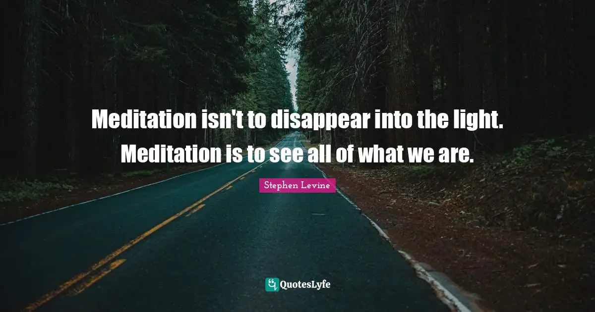 Meditation isn't to disappear into the light. Meditation is to see all of what we are.