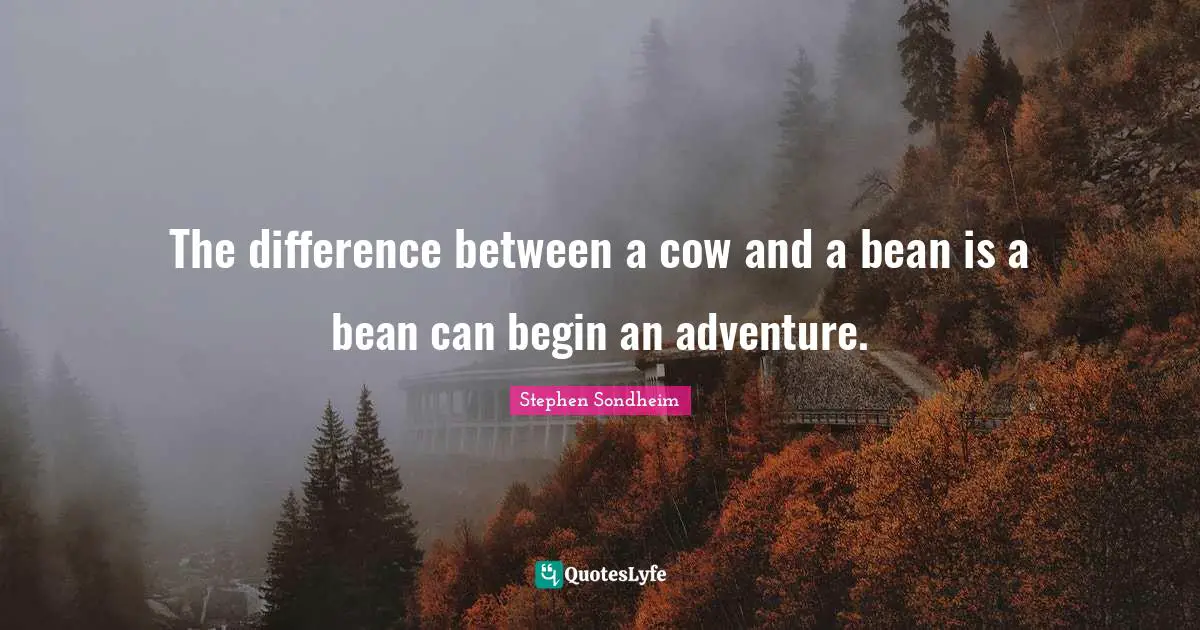 The difference between a cow and a bean is a bean can begin an adventure.