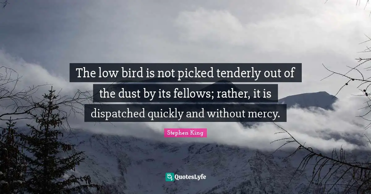 The low bird is not picked tenderly out of the dust by its fellows; rather, it is dispatched quickly and without mercy.