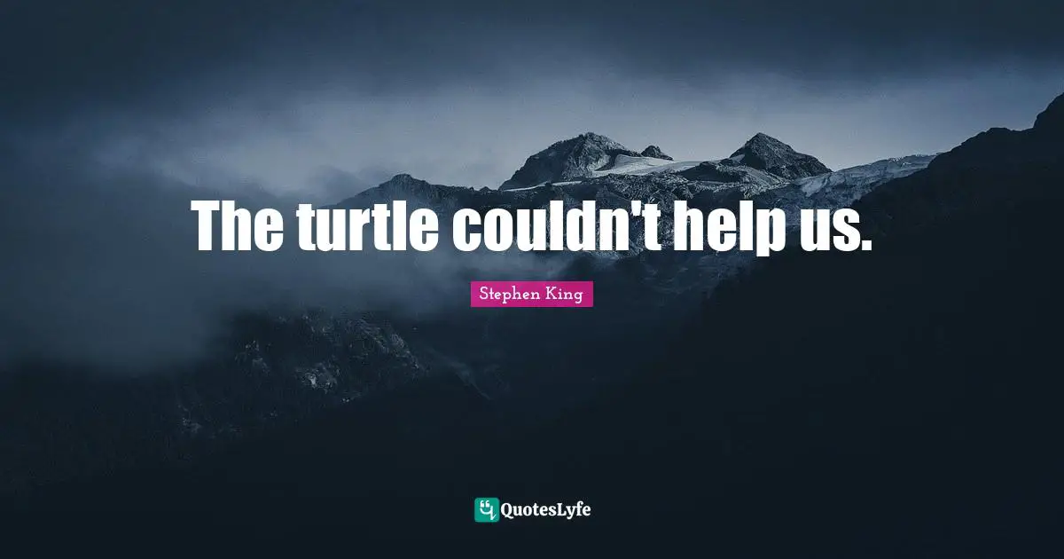 The turtle couldn't help us.