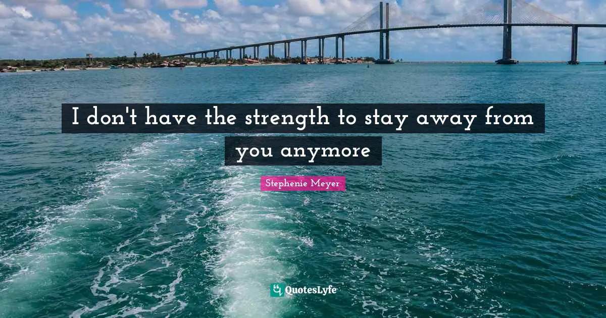 I don't have the strength to stay away from you anymore