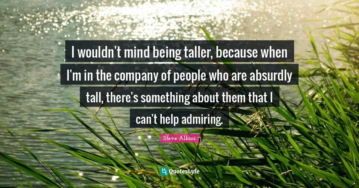 I wouldn't mind being taller, because when I'm in the company of people who are absurdly tall, there's something about them that I can't help admiring.