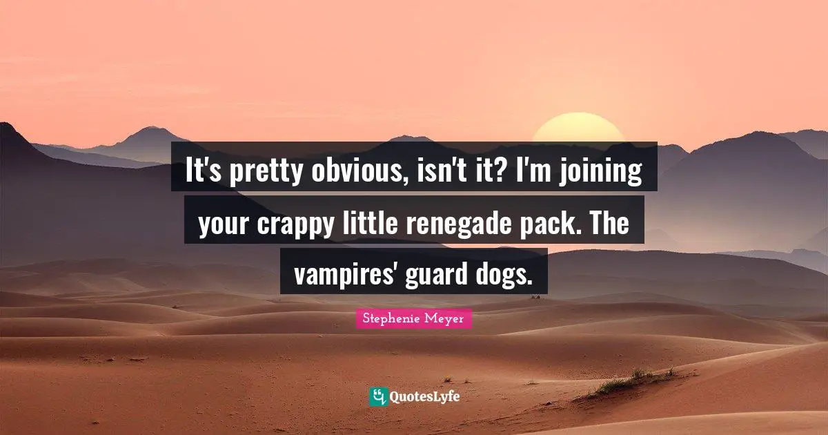It's pretty obvious, isn't it? I'm joining your crappy little renegade pack. The vampires' guard dogs.